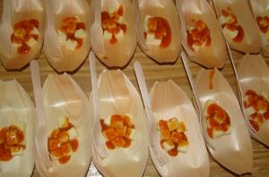 Tanja Lešnik Štuhec 1